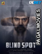 Blind Spot (2025) Telugu Full Movie