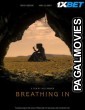 Breathing In (2024) Hollywood Hindi Dubbed Full Movie
