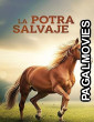 La Potra Salvaje (2026) Full Movie